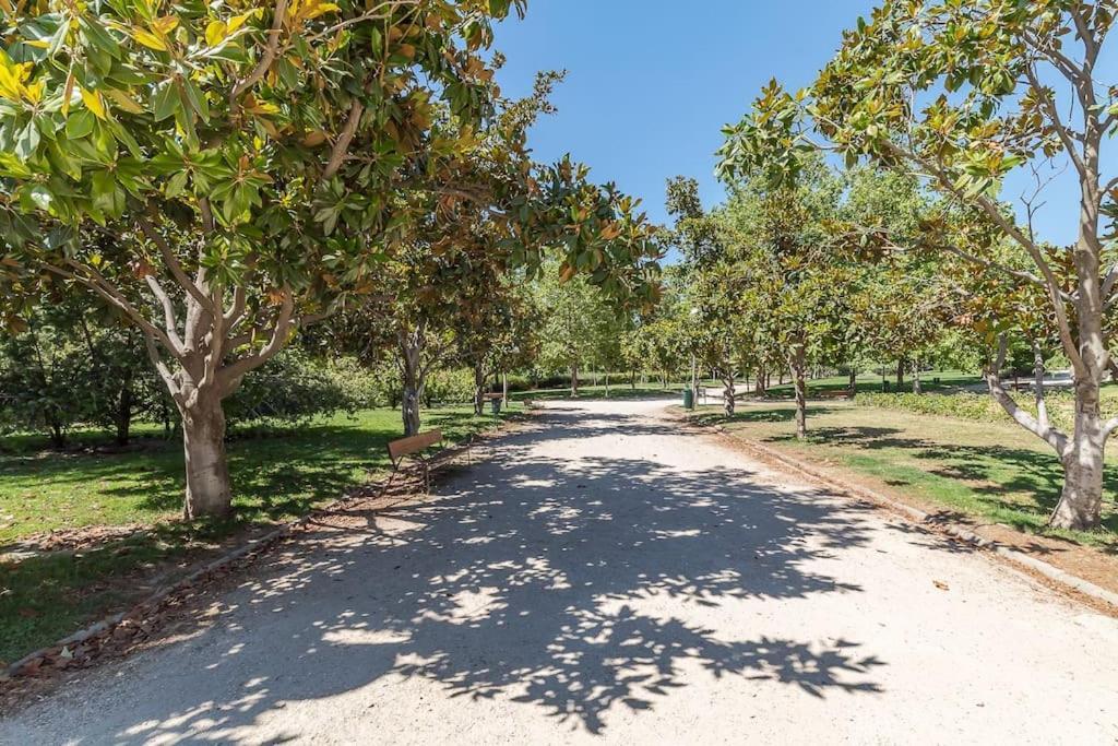 Estudio Acogedor En Zona Norte Madrid Exteriér fotografie